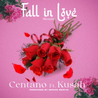 Fall in love remix ft. Kusah lyrics | Boomplay Music