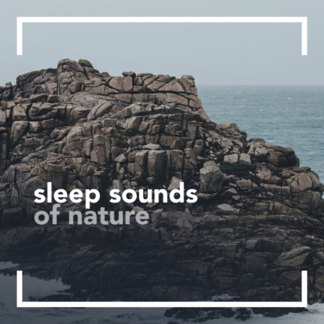 Relaxed Beach Sounds (Original Mix)