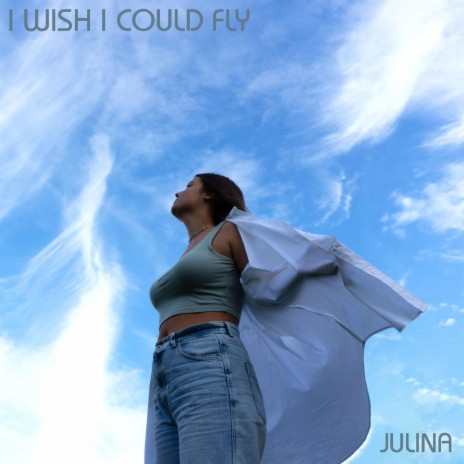 I Wish I Could Fly | Boomplay Music