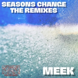 Seasons Change (The Remixes)