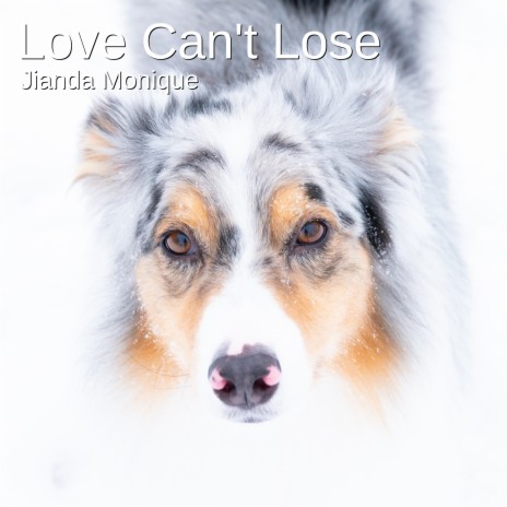 Love Can't Lose | Boomplay Music