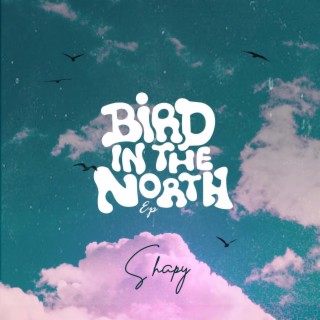 Bird in the North