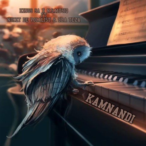 Kamnandi ft. N.S.MusiQ, Nikey De Vocalist & Bra Teza | Boomplay Music