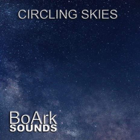 Circling Skies | Boomplay Music