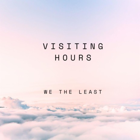 Visiting Hours | Boomplay Music