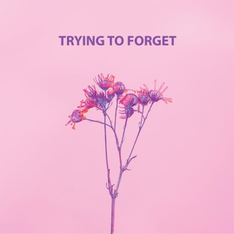 Trying To Forget | Boomplay Music