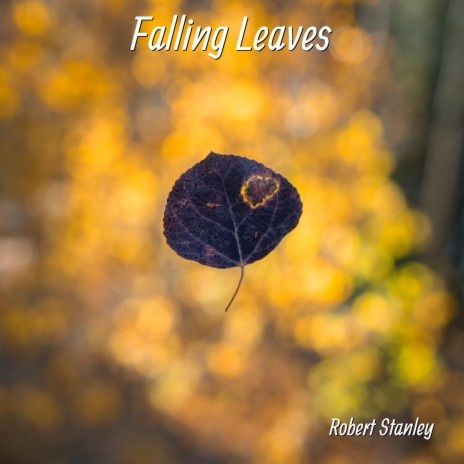 Falling Leaves | Boomplay Music