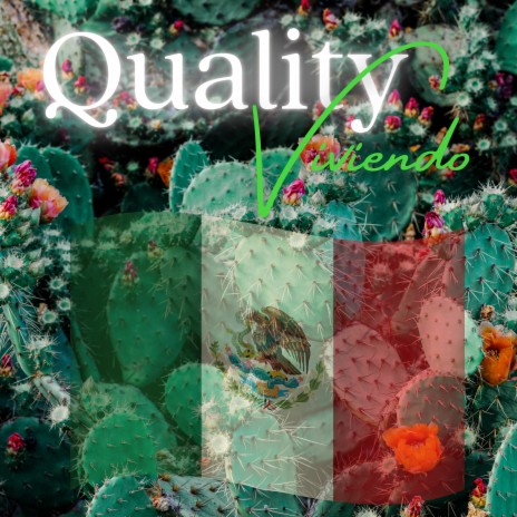 Quality Viviendo | Boomplay Music