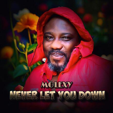 Never Let You Down | Boomplay Music