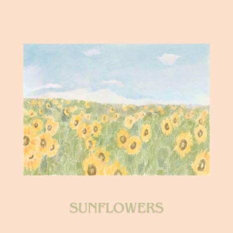 Sunflowers | Boomplay Music