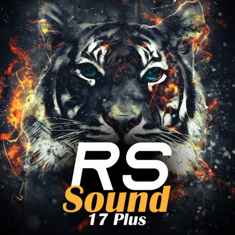 RS Sound 17 Plus