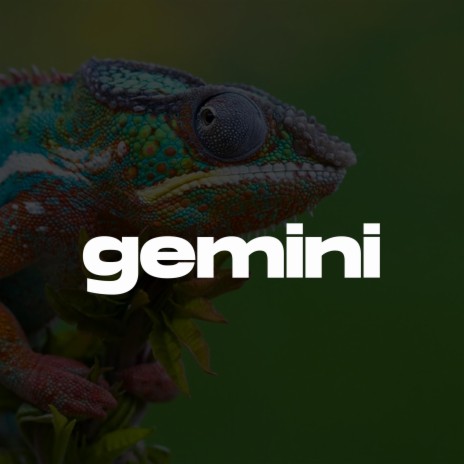 Gemini (Melodic Drill Type Beat) | Boomplay Music