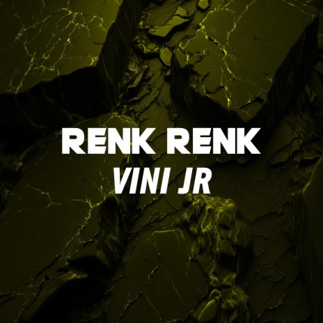 Renk Renk Vini ft. DJ Ruan da VK & Jhonatta DJ | Boomplay Music