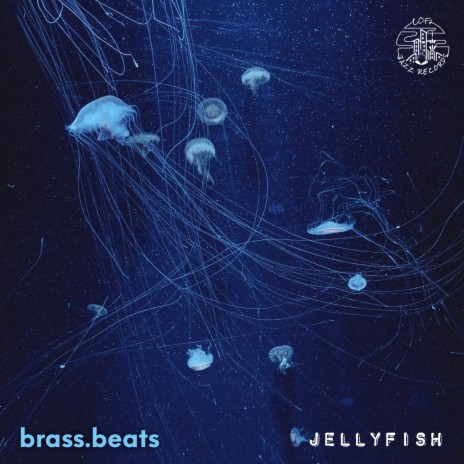 Jellyfish | Boomplay Music