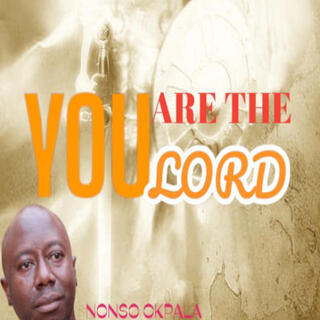 You are the lord_Nonso okpala