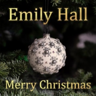 Merry Christmas - Underneath The Mistletoe (Acoustic Cover)