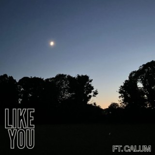 Like You (Instrumental With Hook) lyrics | Boomplay Music