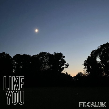 Like You (Instrumental)