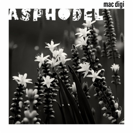 ASPHODEL | Boomplay Music