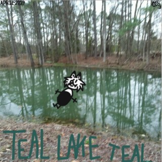 Teal Lake Teal