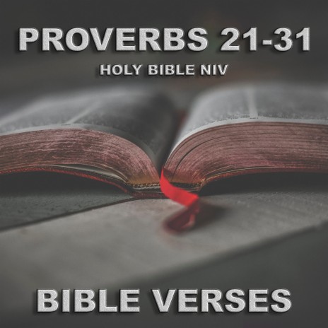 Holy Bible N.I.V. Proverbs 24 | Boomplay Music