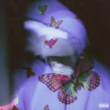 Butterflies | Boomplay Music