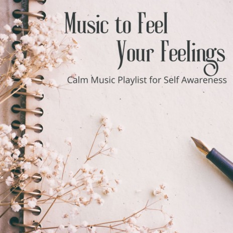 Calm Music Playlist