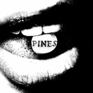 PINES ft. bigaj! lyrics | Boomplay Music