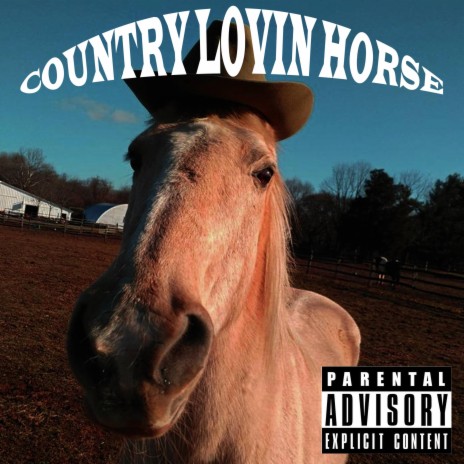 Country Lovin Horse