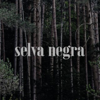 Selva Negra