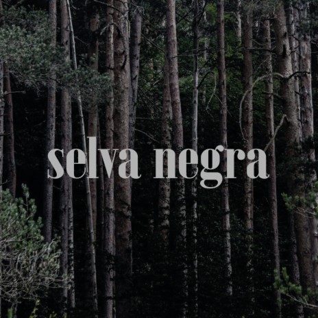 Selva Negra ft. Àlex Blat Tardor