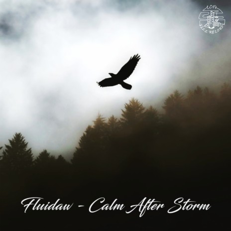 Calm After Storm | Boomplay Music