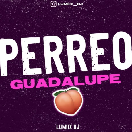 Perreo Guadalupe | Boomplay Music