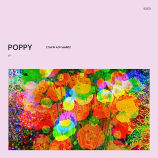 Poppy