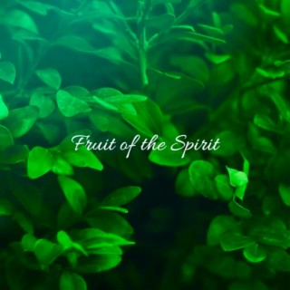 Fruit of the Spirit