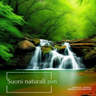 Suoni naturali zen: Cascata, acqua e ruscello per meditare