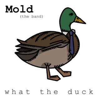 Mold The Band