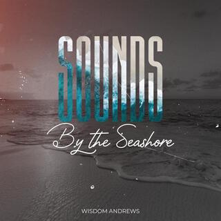 Sounds By The SeaShore