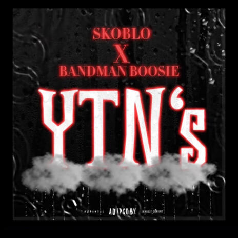 YTN's ft. Bandman boosie | Boomplay Music