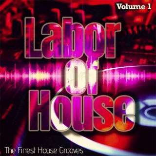 Labor of House, Volume 1 - the Finest House Grooves