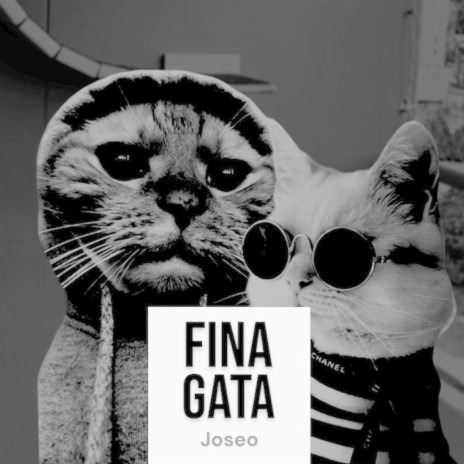 Fina Gata | Boomplay Music