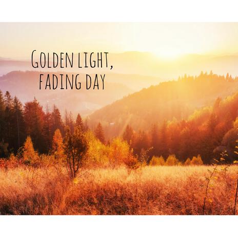 Golden light, fading day | Boomplay Music