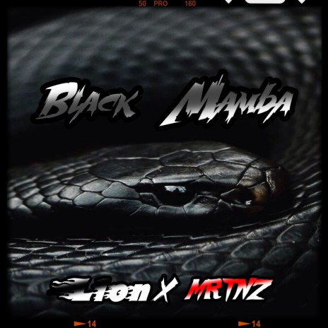 Black Mamba ft. MRTNZ | Boomplay Music