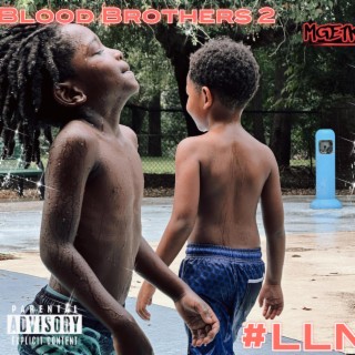 Blood Brothers 2
