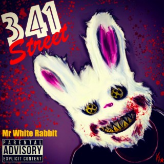 Mr White Rabbit (341Street)