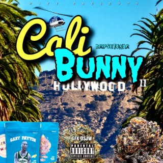 Cali Bunny 2