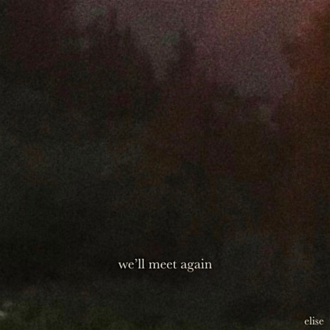 We'll Meet Again | Boomplay Music