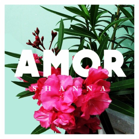 Amor | Boomplay Music