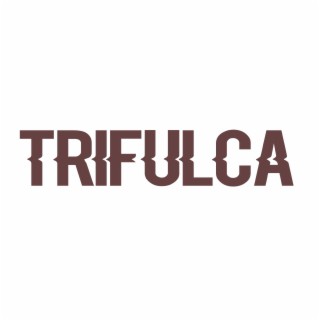 Trifulca