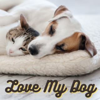 Love My Dog: Slow Instrumental Songs to Calm and Soothe Your Puppy Mind